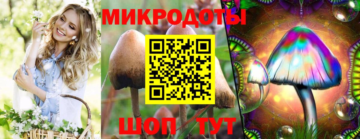 Галлюциногенные грибы мицелий Аксай