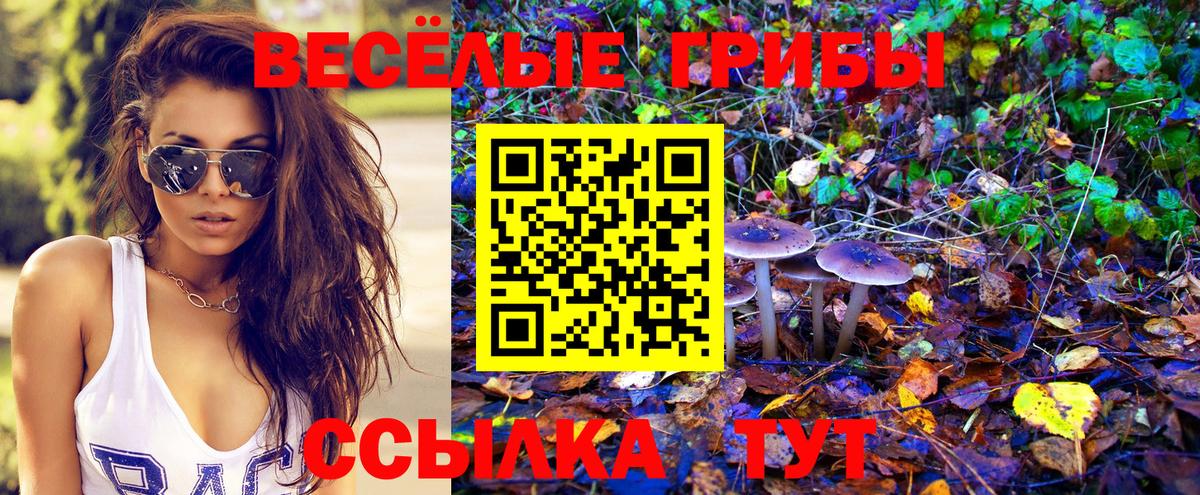 Галлюциногенные грибы Magic Shrooms  Вход с VPN  Галлюциногенные грибы ЛСД  Аксай 